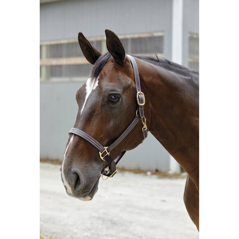 Suffolk Triple Stitched Leather Horse Halter Brown Full Size New With Tags - Picture 1 of 6
